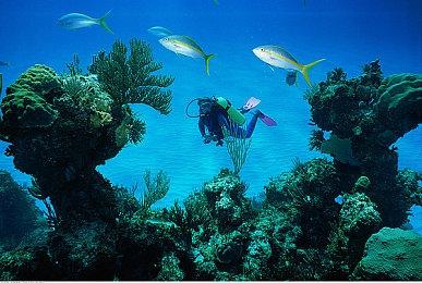 PS Plus双倍折扣优惠活动 会员最高可享2折优惠